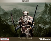 Elder Scrolls Online - Nord Statue