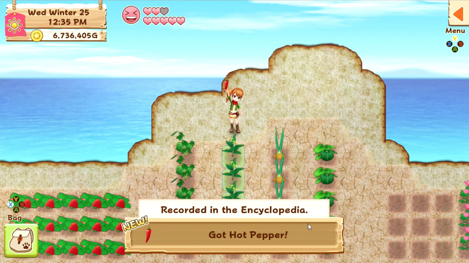 Harvest Moon: Light of Hope Special Edition for Switch image