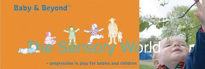 Sensory World by Sally Featherstone image