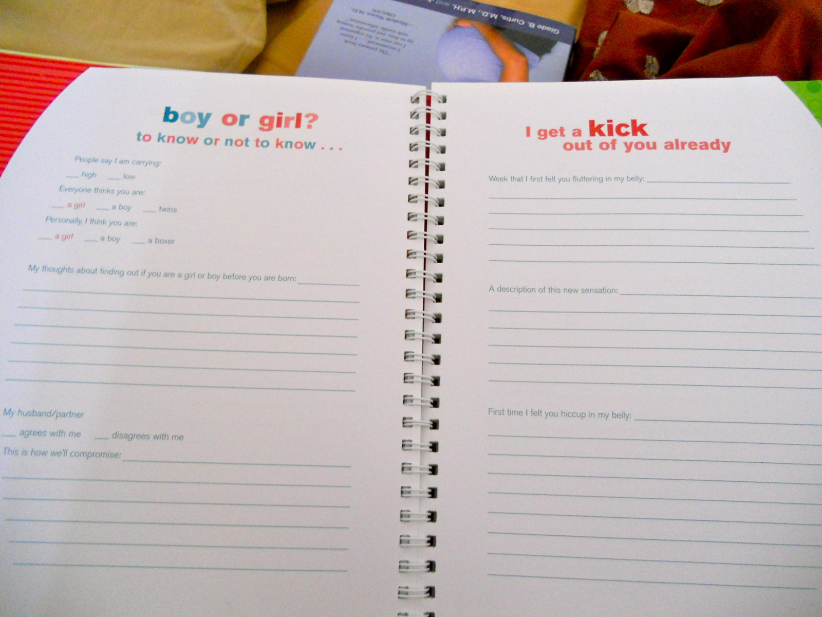 The Belly Book: A Nine-month Journal for You and Your Growing Belly image