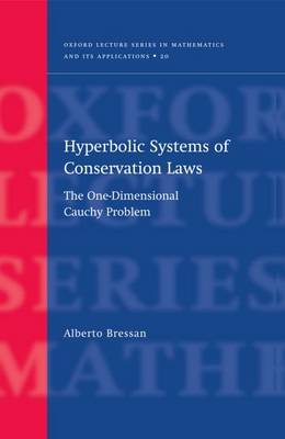 Hyperbolic Systems of Conservation Laws by Alberto Bressan image