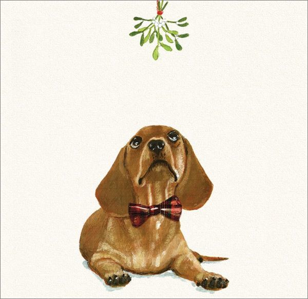 Art Marketing: Christmas Cards 6 Pk - Under The Mistletoe