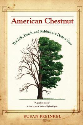 American Chestnut by Susan Freinkel image