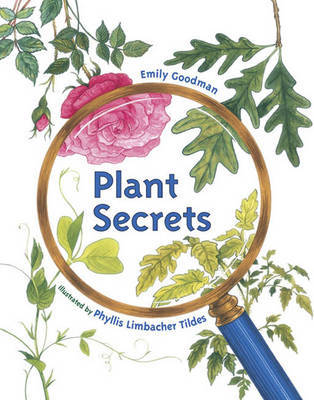 Plant Secrets by Emily Goodman image