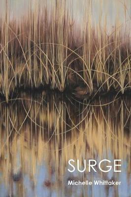 Surge by Michelle Whittaker image