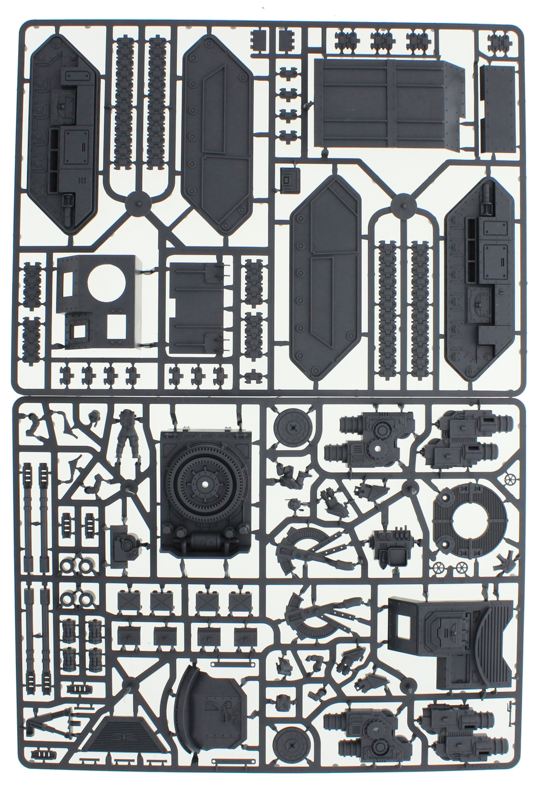 Astra Militarum Hydra/Wyvern image