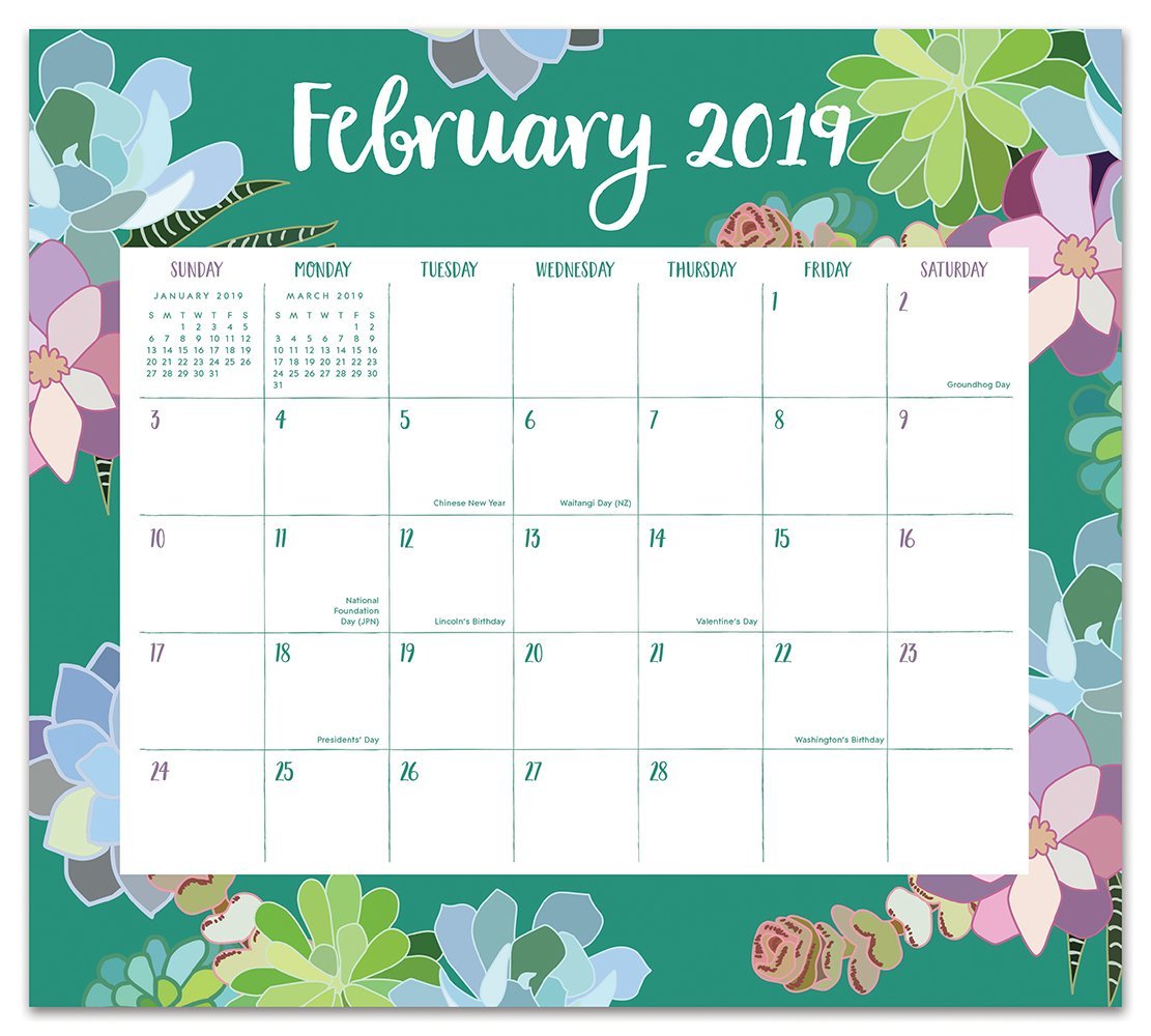 Mia Charro: Succulent 2019 Magnetic Monthly Planner image