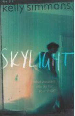 Skylight on Hardback by Kelly Simmons