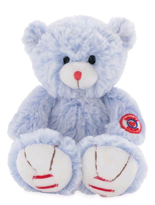 Blue Bear - Small Plush image