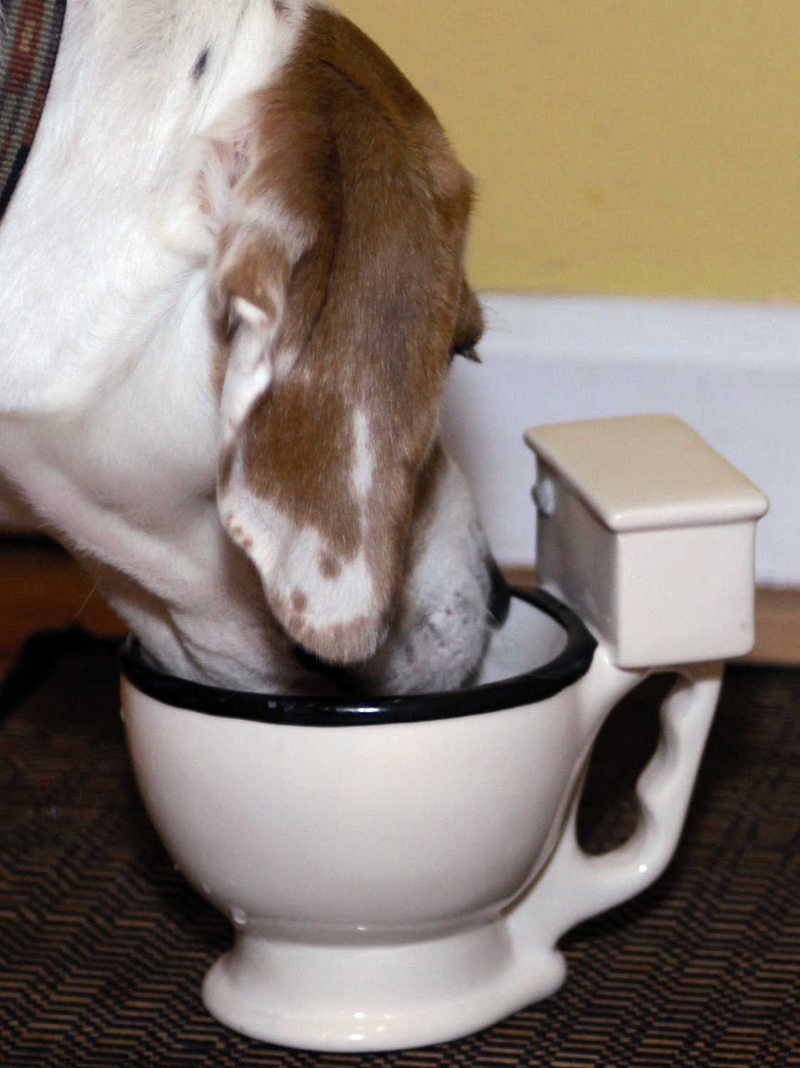 Toilet Mug image