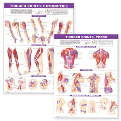Trigger Point Chart Set | Buy Now | at Mighty Ape NZ