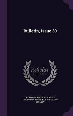 Bulletin, Issue 30 image