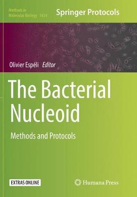 The Bacterial Nucleoid image