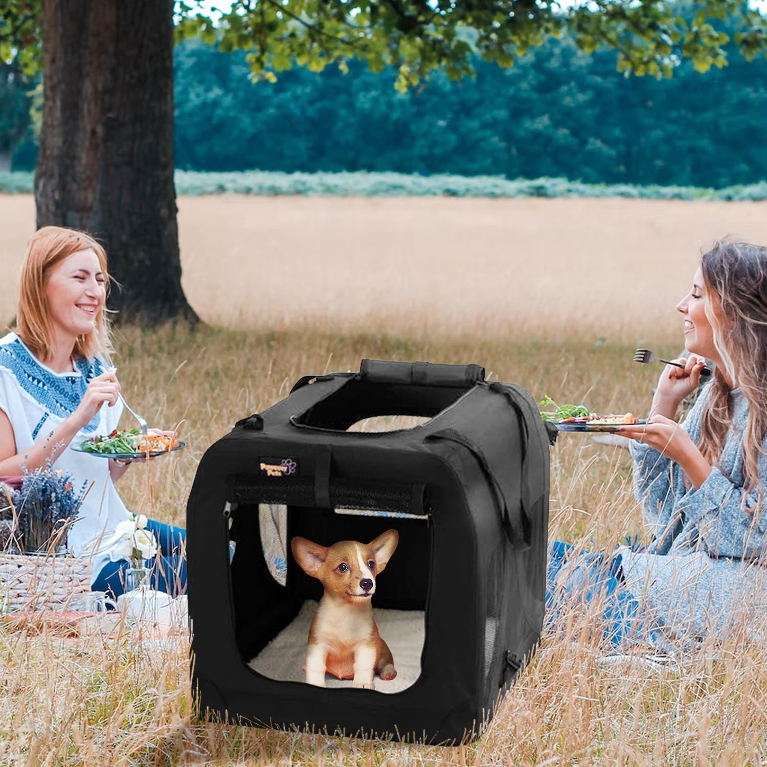 Buy Pawever Pets Portable Soft Pet Dog Crate at Mighty Ape NZ