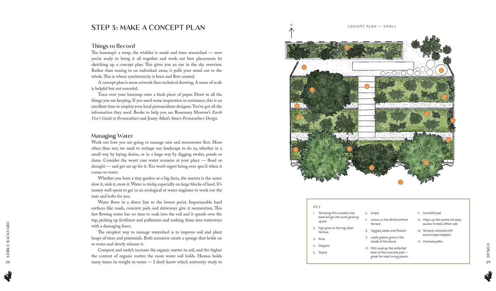 The Edible Backyard by Kath Irvine