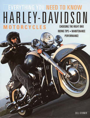 Harley-Davidson Motorcycles by Bill Stermer image