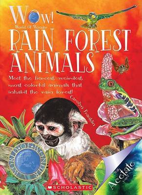 Rain Forest Animals on Paperback by Carolyn Franklin