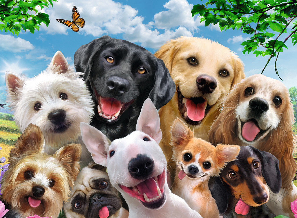 Ravensburger: Delighted Dogs - 300pc Puzzle image