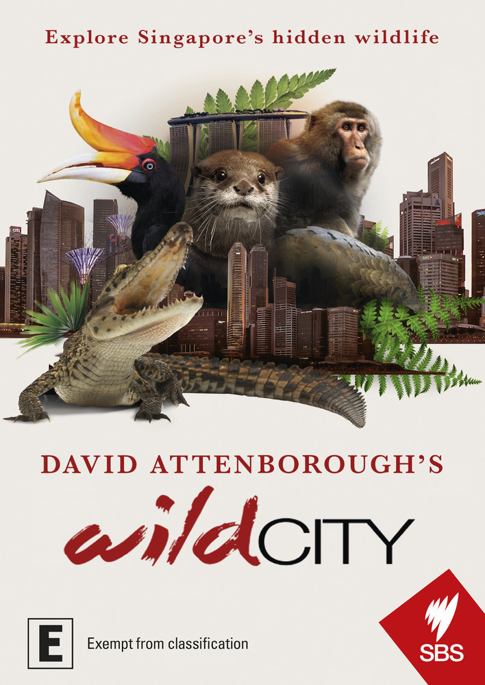 David Attenborough's - Wild City on DVD image