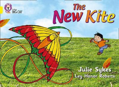 The New Kite by Julie Sykes image