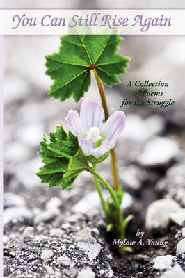 You Can Still Rise Again by Mylow A. Young image