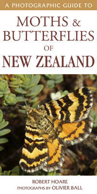 Photographic Guide To Moths & Butterflies Of New Zealand by Robert Hoare & Olivier Ball