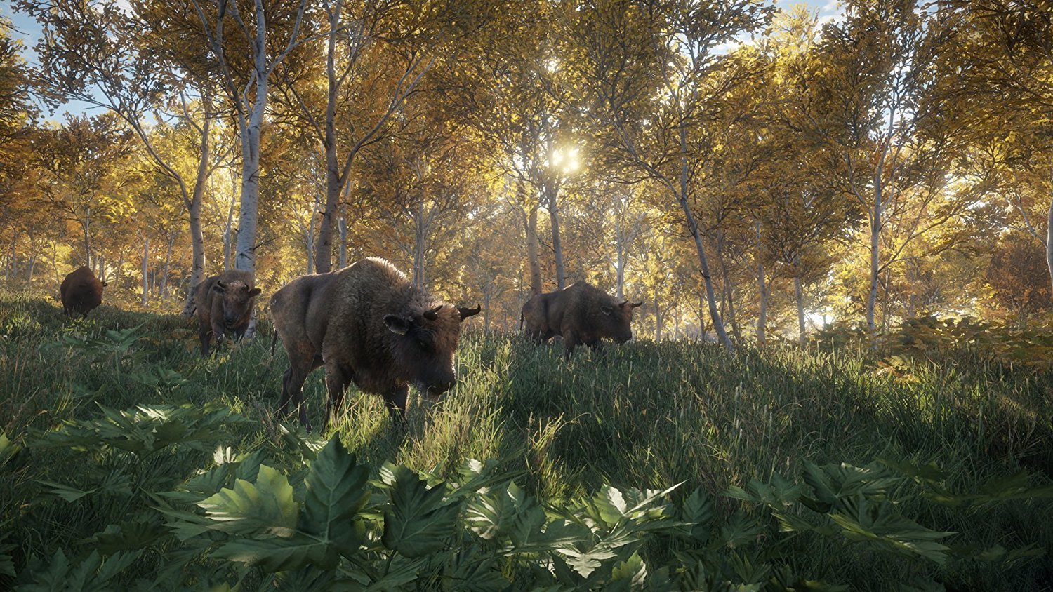theHunter Call of the Wild Xbox One Buy Now at Mighty Ape Australia