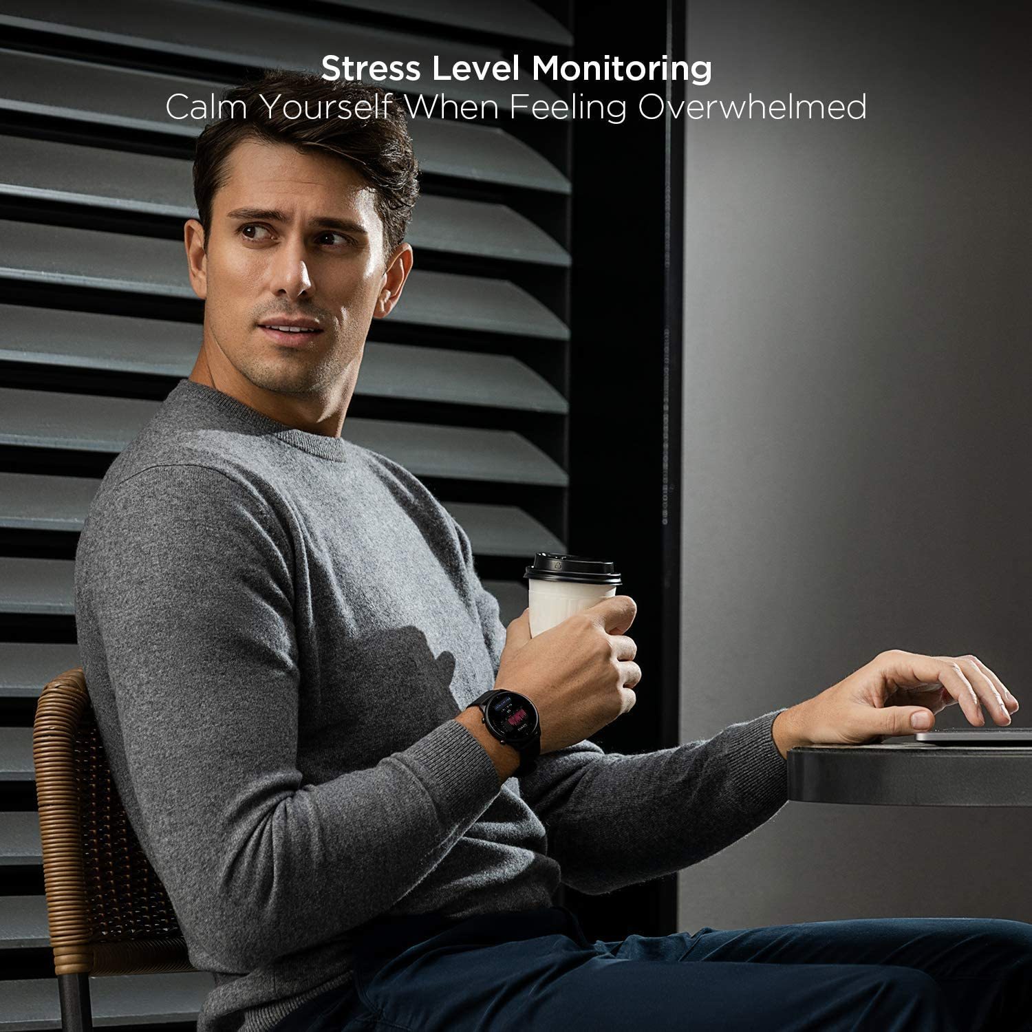Xiaomi Amazfit GTR 2 Smartwatch - Stainless Steel (Classic Edition) image