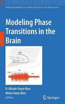 Modeling Phase Transitions in the Brain on Hardback