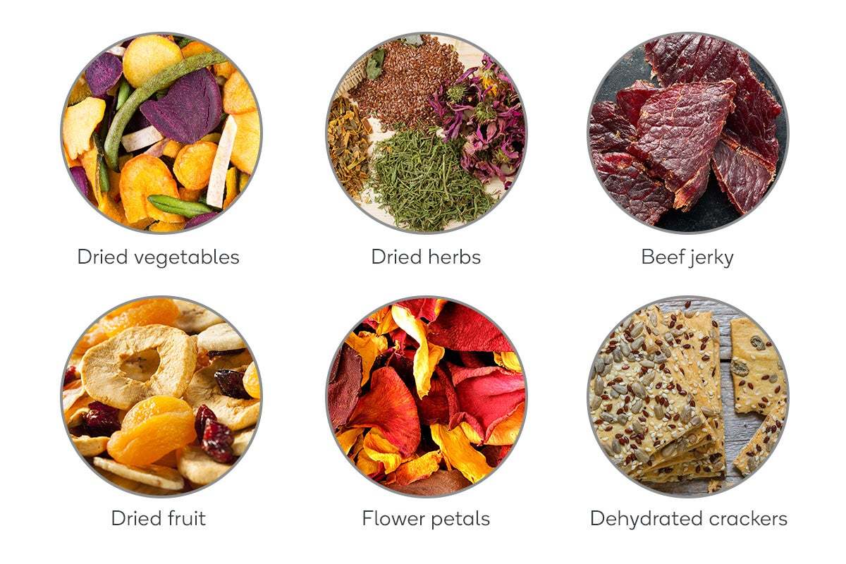 Buy Kogan 6 Tray Food Dehydrator with Timer at Mighty Ape NZ