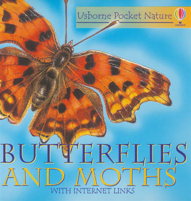 Butterflies and Moths image