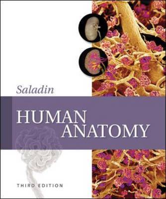 Human Anatomy by Kenneth S. Saladin image