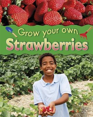 Strawberries by Helen Lanz image