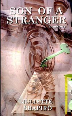 Son of a Stranger by Juliette Shapiro image