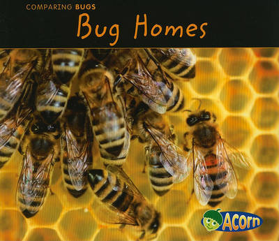 Bug Homes by Charlotte Guillain image