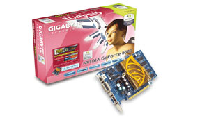 Gigabyte Graphics Card NVIDIA GeForce 6600 VPU256M PCIE