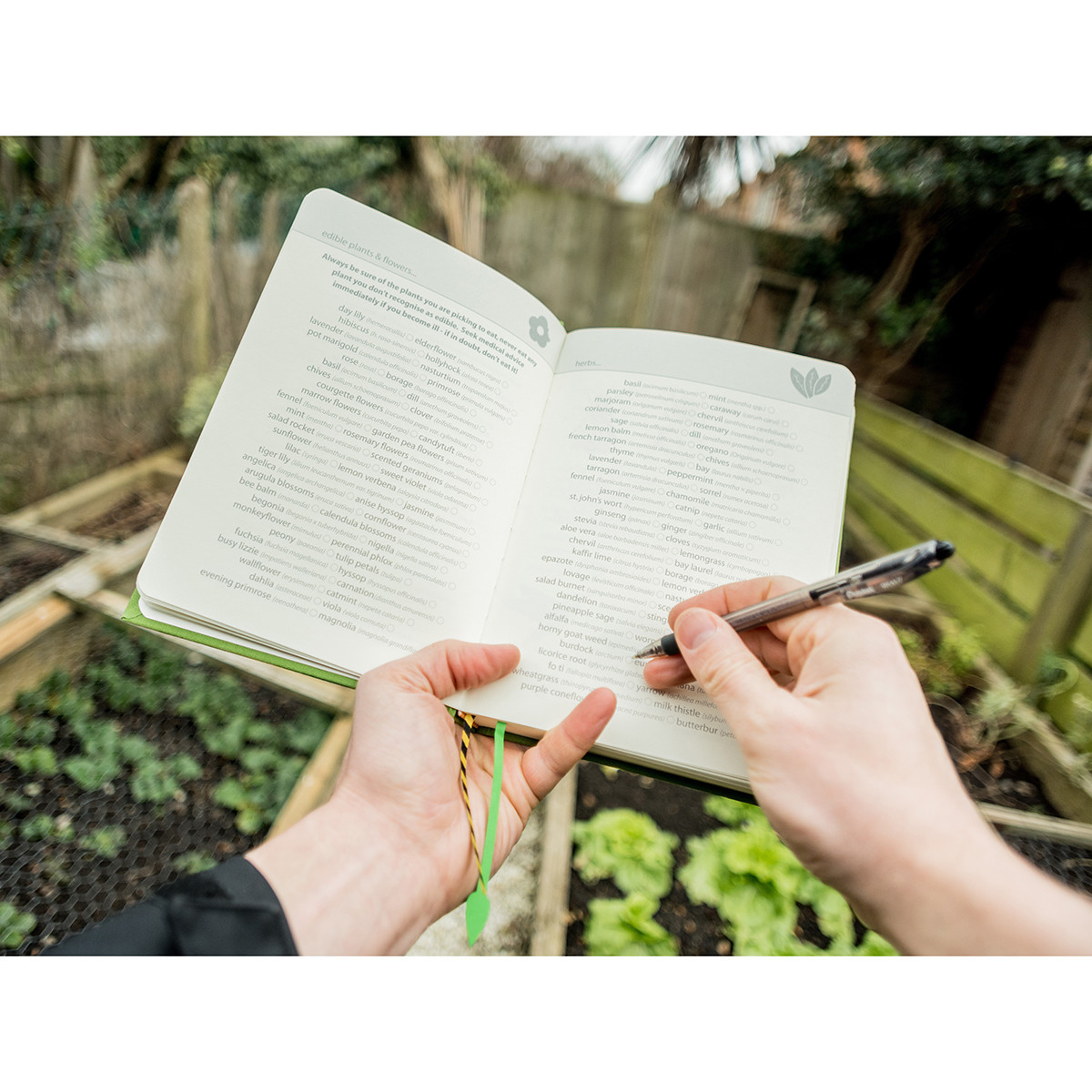 Suck Uk: My Gardening Handbook image