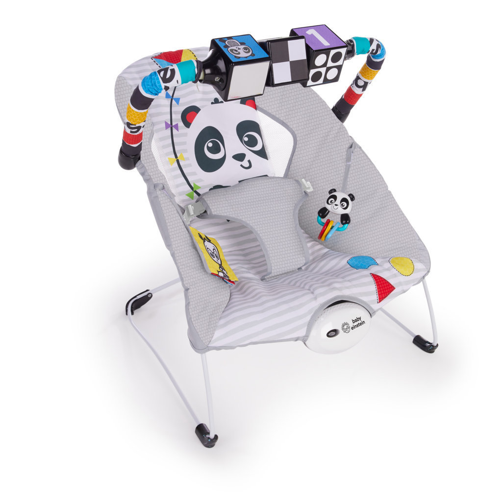 Baby Einstein: More to See High Contrast Bouncer with Vibrating Seat image