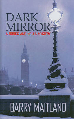 Dark Mirror by Barry Maitland image