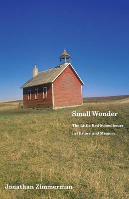 Small Wonder by Jonathan Zimmerman image