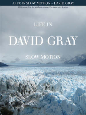 David Gray: Life in Slow Motion image