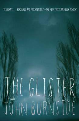 The Glister by John Burnside image
