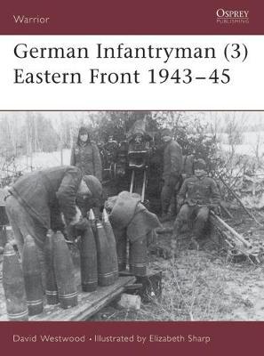 German Infantryman: 3 by David Westwood image