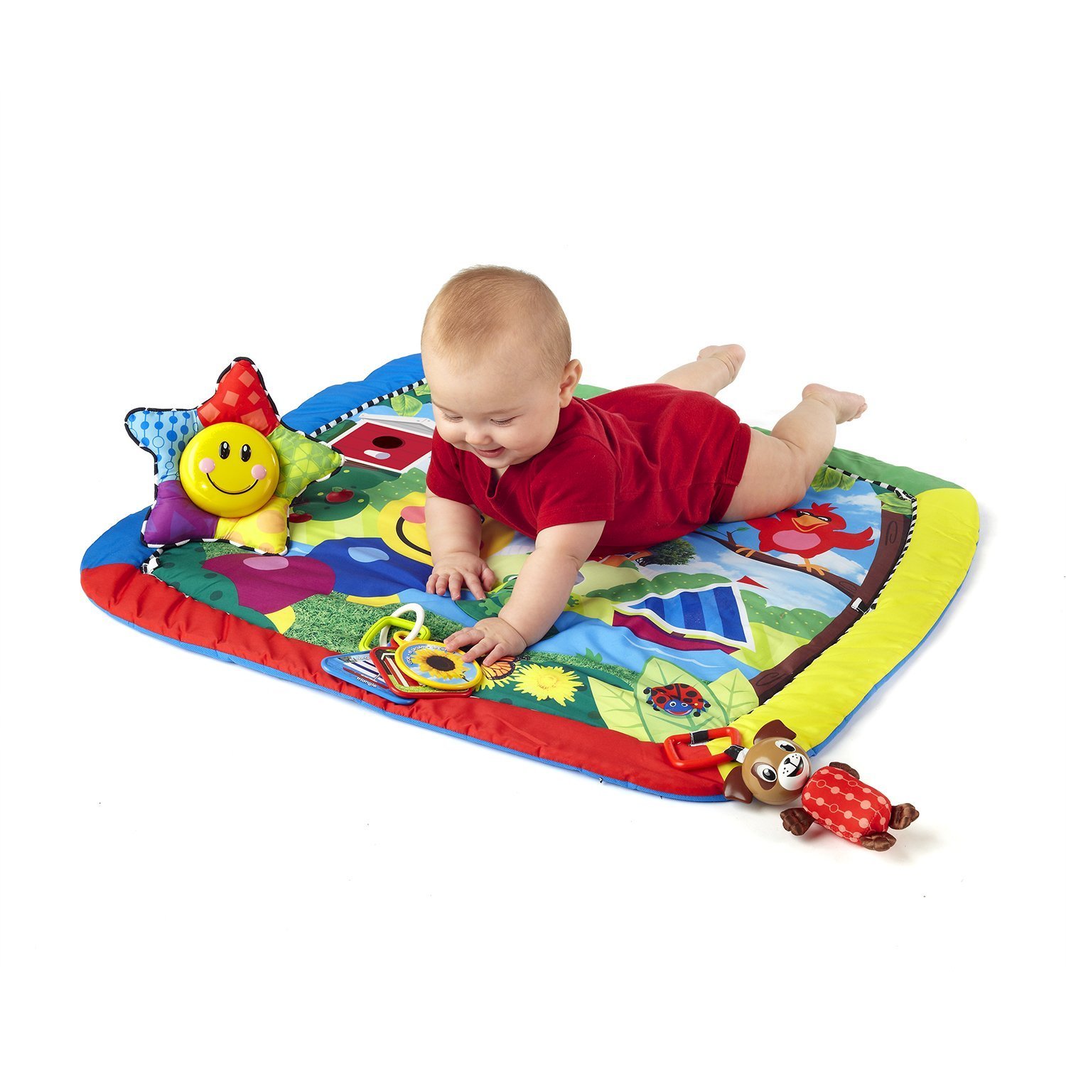 Baby Einstein: Caterpillar & Friends Play Gym image