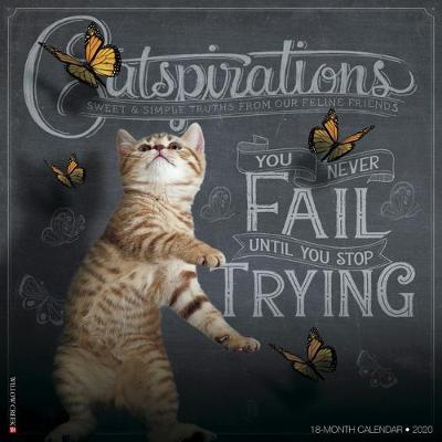 Catspirations 2020 Wall Calendar by Willow Creek Press image