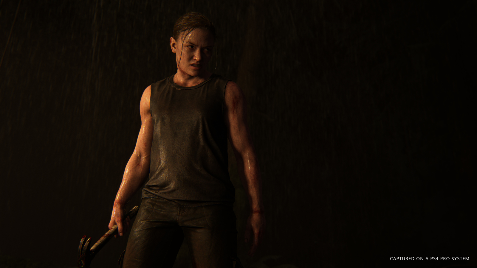 The Last of Us 2 for PS4 image