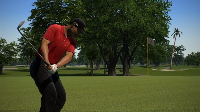 Tiger Woods PGA Tour 13 Collector's Edition image