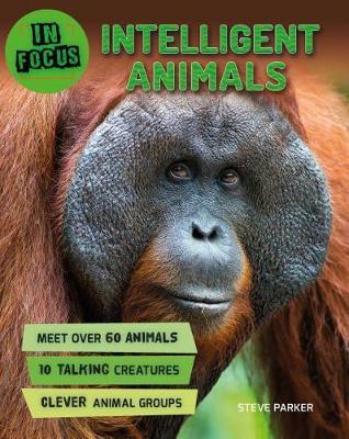 In Focus: Intelligent Animals on Hardback by Camilla de la Bedoyere