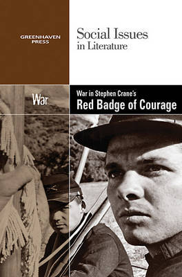 War in Stephen Crane's the Red Badge of Courage image