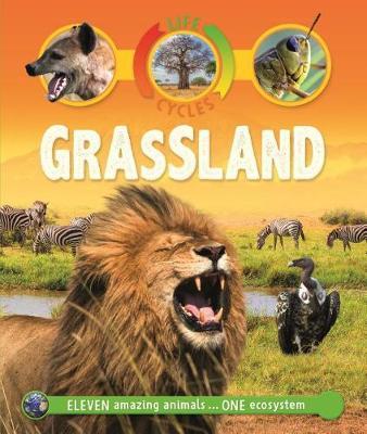 Life Cycles: Grassland on Hardback by Sean Callery